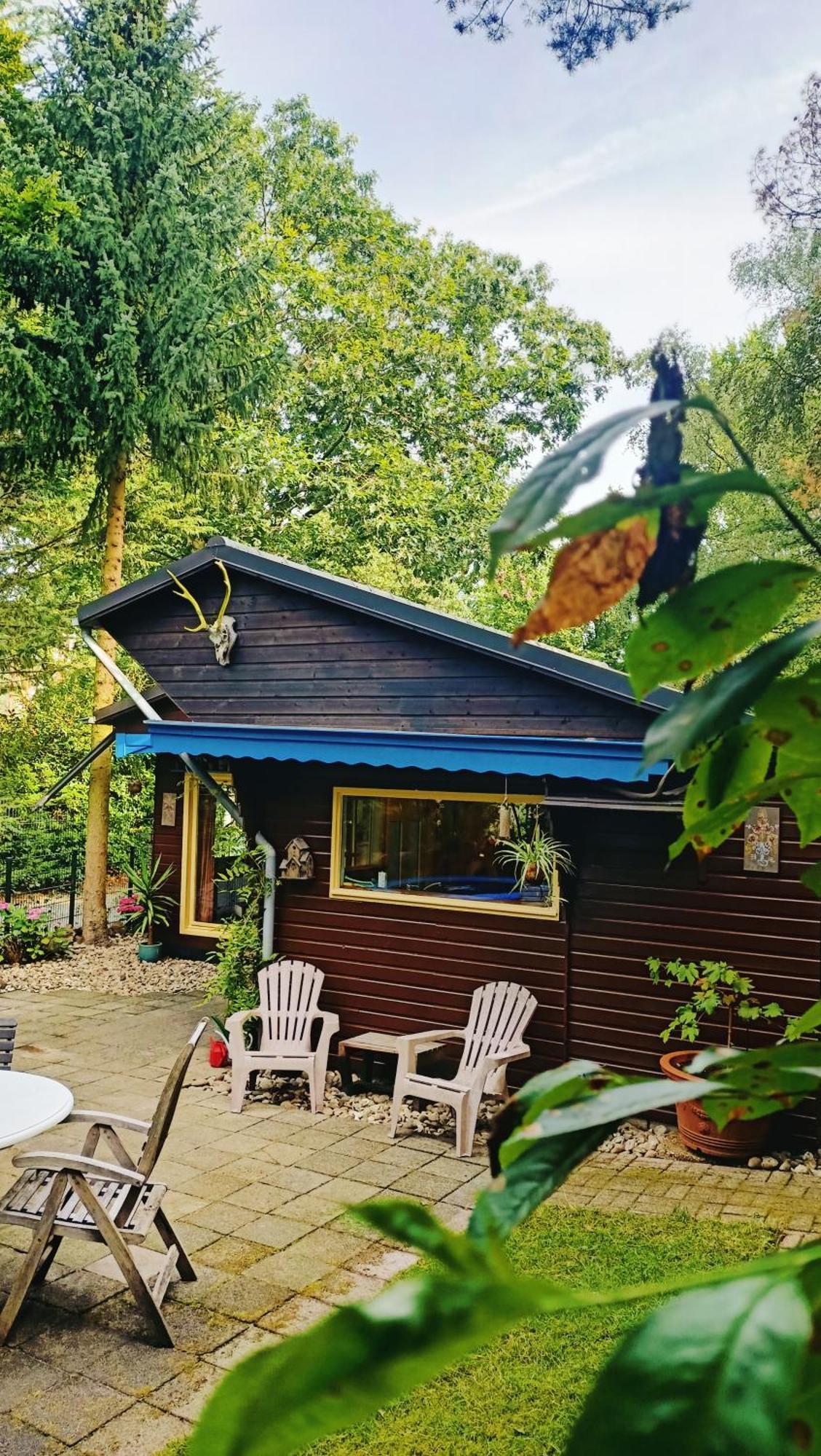 Het Houten Boshuisje Hattemerbroek Buitenkant foto