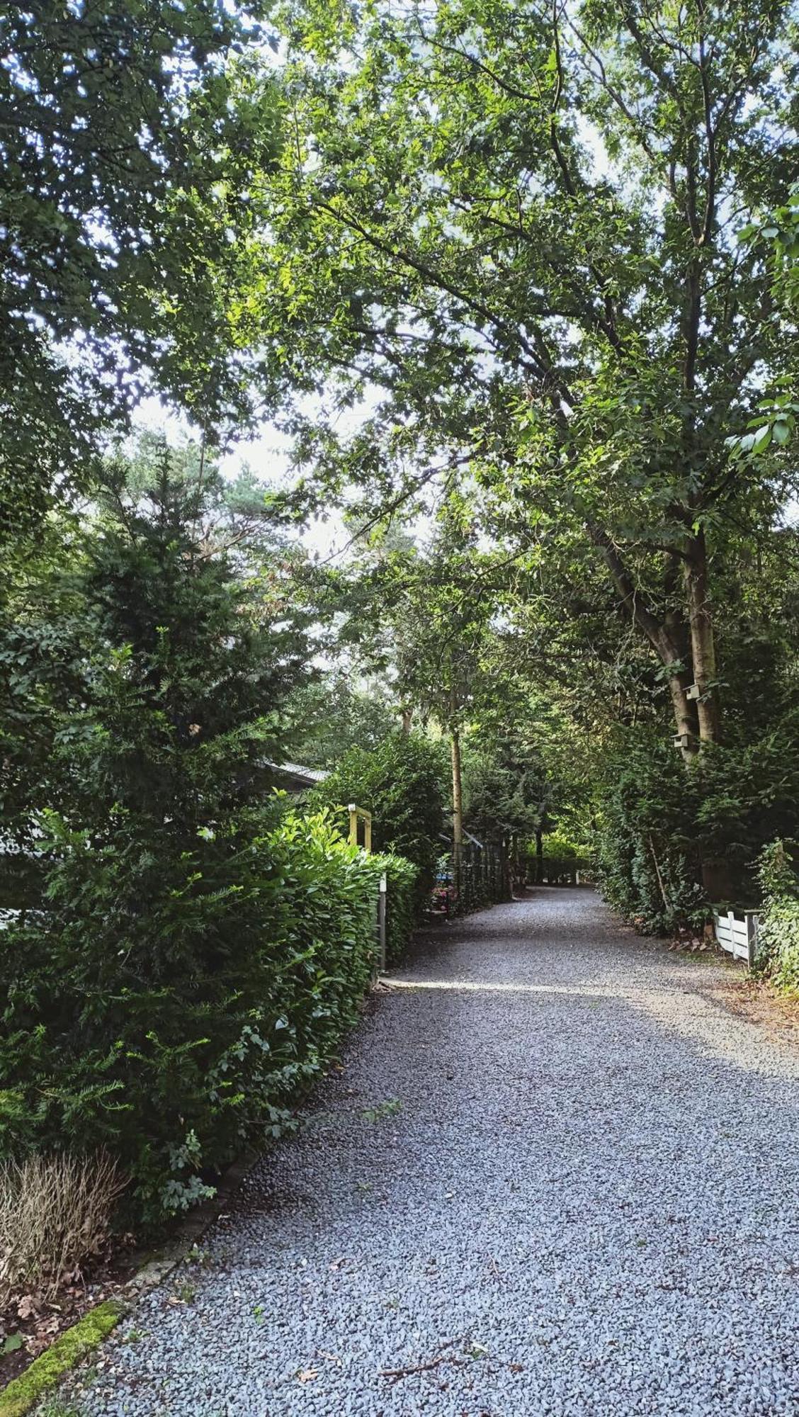 Het Houten Boshuisje Hattemerbroek Buitenkant foto